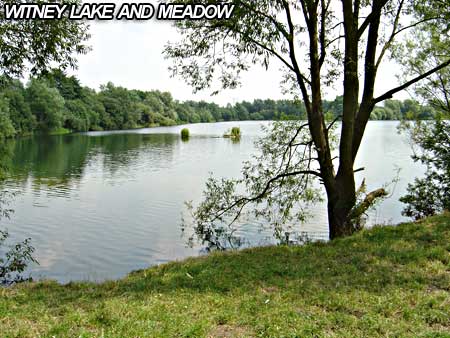Witney Lake and Meadow